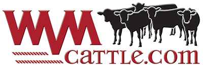 Western Video Market